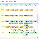 Schedule Diary